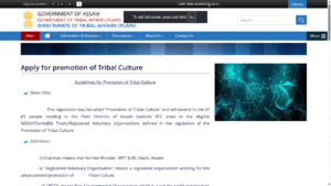 Promotion of Tribal Culture