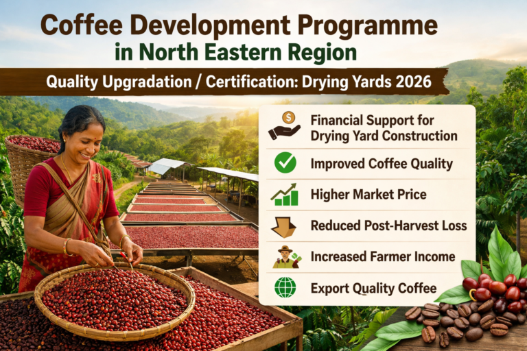 Coffee Development Programme in North Eastern Region: Quality Upgradation / Certification: Drying Yards 2026